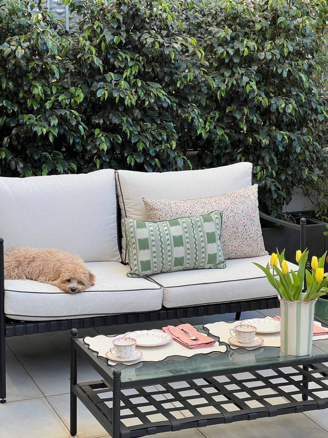 Antes y después del proyecto Terraza Ciudadela